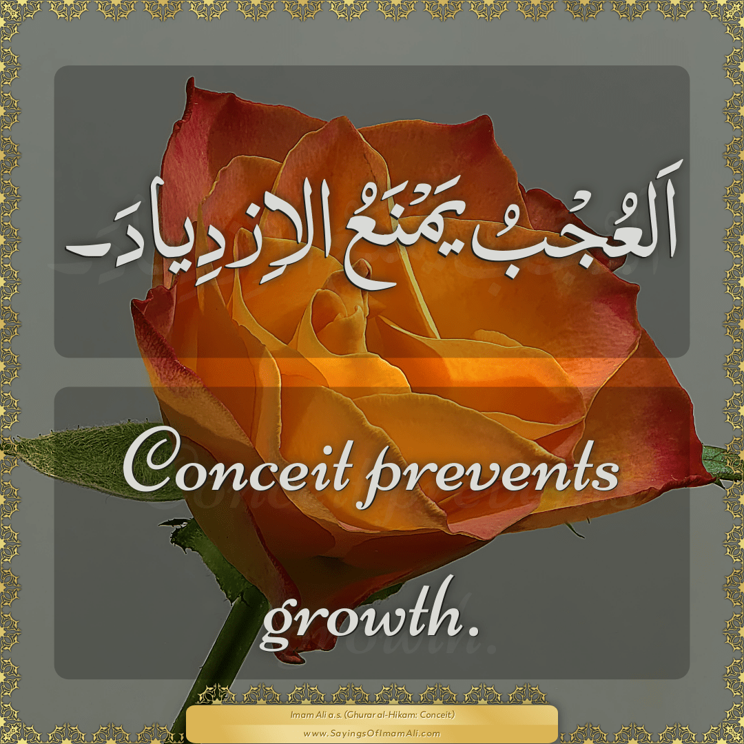 Conceit prevents growth.